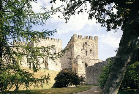 Prudhoe Castle by Ray Hutchinson